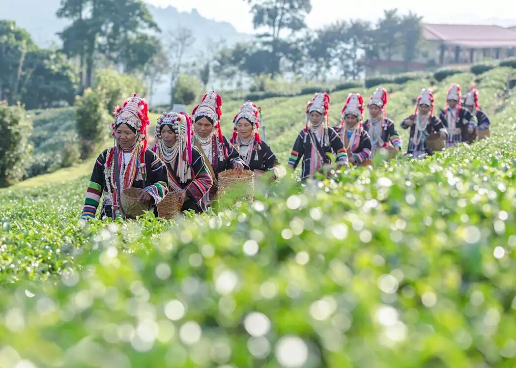 Meet the warm communities of Northern Thailand